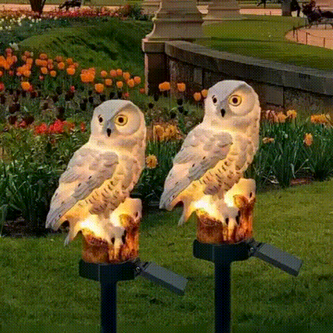 ⭐️Anomasu® Solar Owl Light