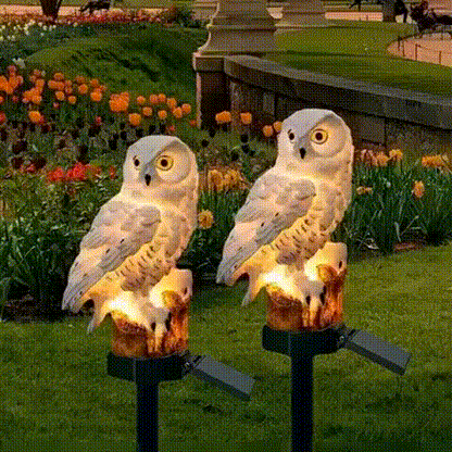 ⭐️Anomasu® Solar Owl Light