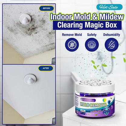 🔥Anomasu® Indoor Mold & Mildew Clearing Magic Box