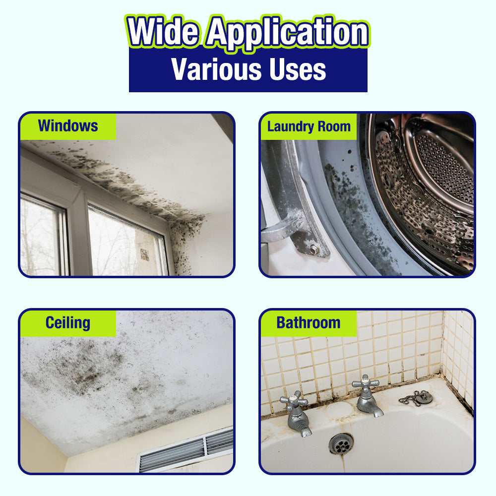 Anomasu® Indoor Mold & Mildew Clearing Magic Box