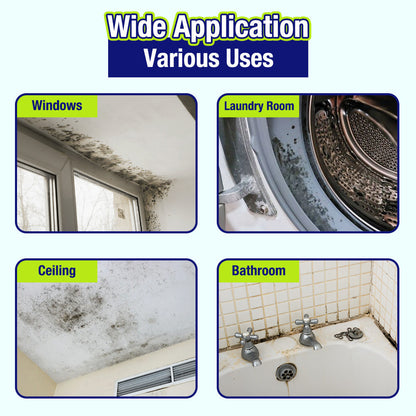 Anomasu® Indoor Mold & Mildew Clearing Magic Box