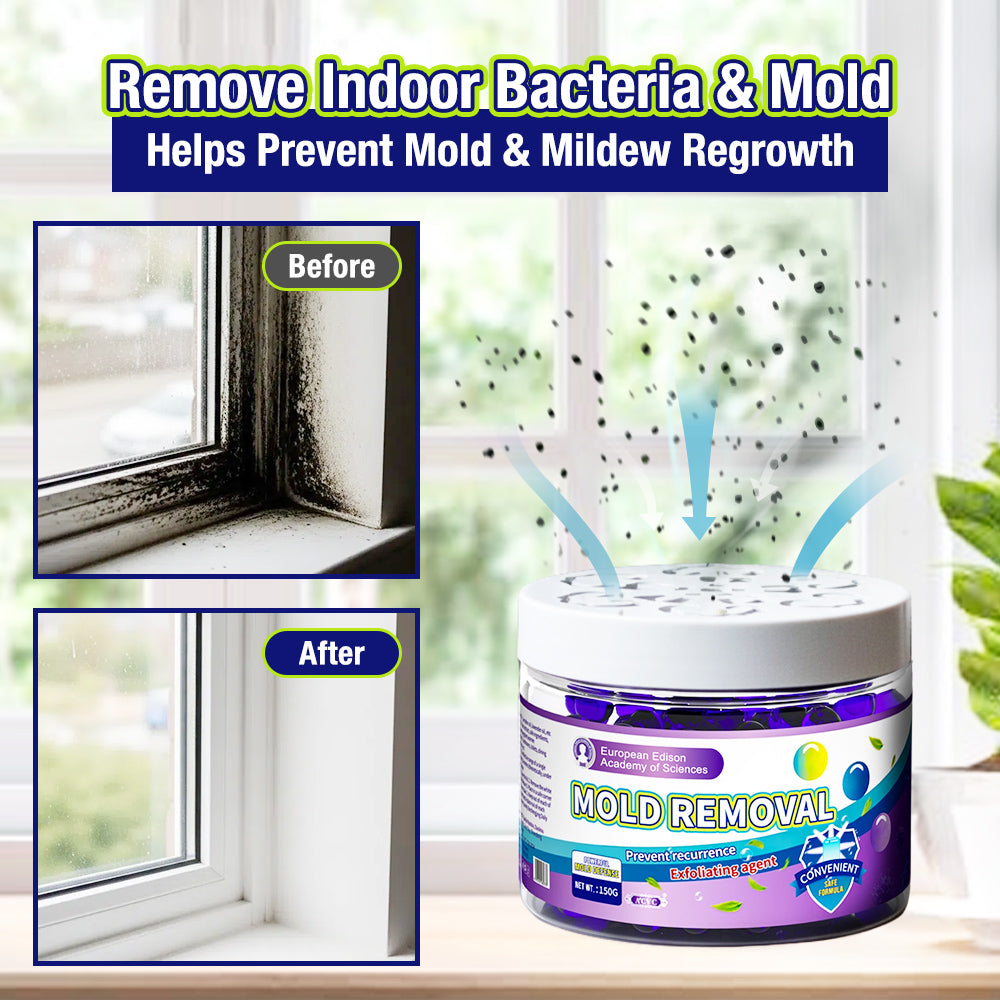 Anomasu® Indoor Mold & Mildew Clearing Magic Box