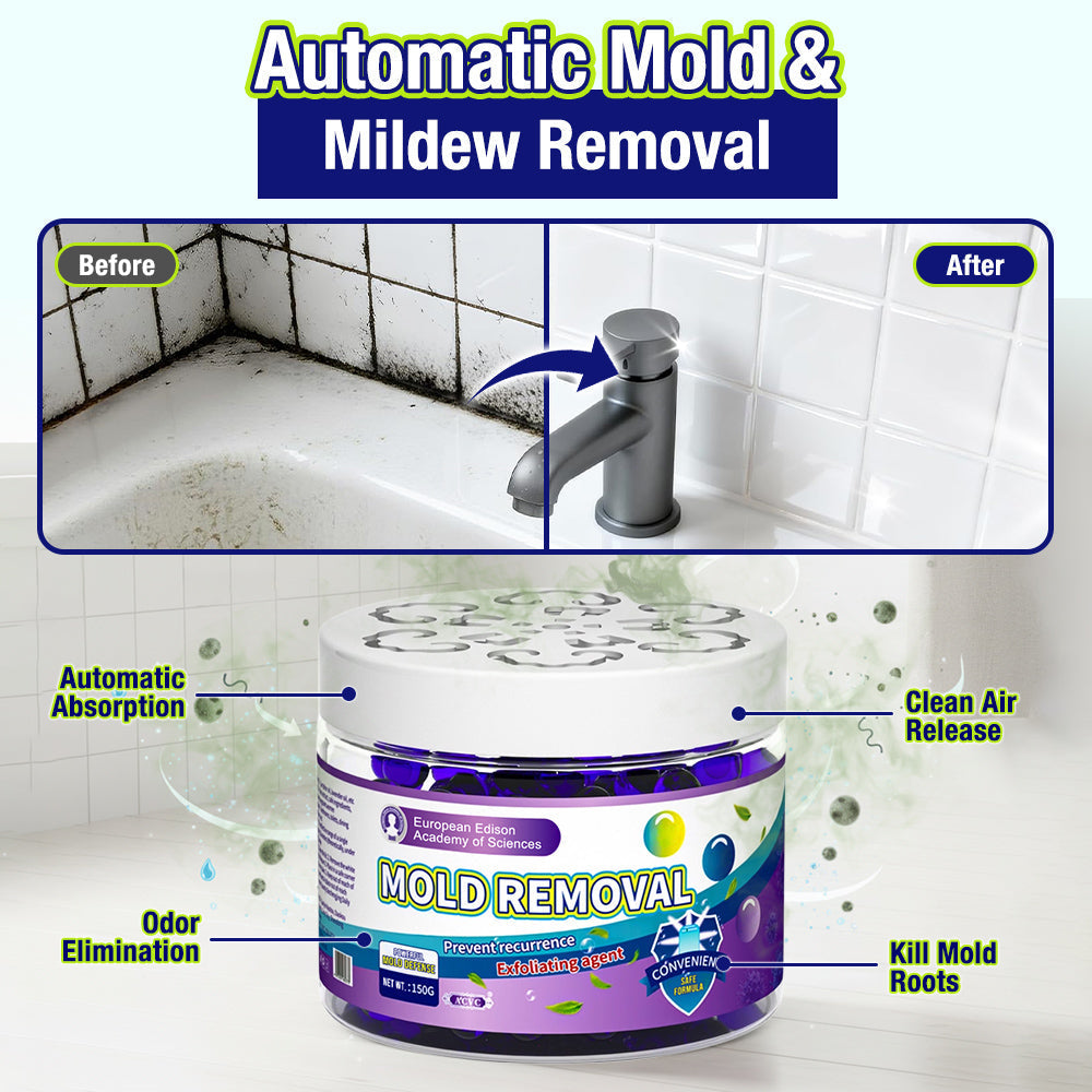 Anomasu® Indoor Mold & Mildew Clearing Magic Box