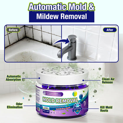Anomasu® Indoor Mold & Mildew Clearing Magic Box