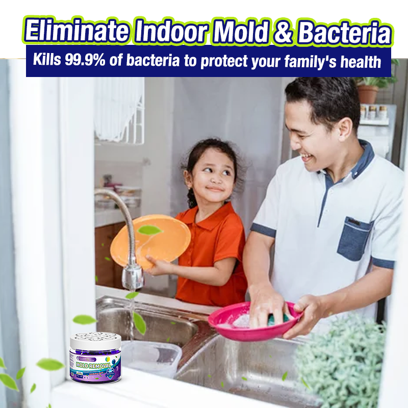 Anomasu® Indoor Mold & Mildew Clearing Magic Box