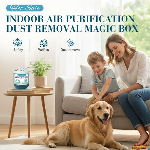⏰Anomasu® Indoor Air Purification Dust Removal Magic Box🏠🌿
