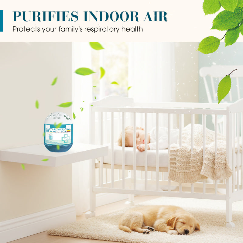 ⏰Anomasu® Indoor Air Purification Dust Removal Magic Box🏠🌿