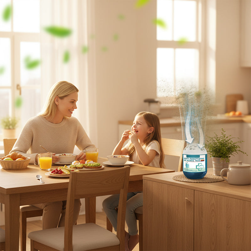⏰Anomasu® Indoor Air Purification Dust Removal Magic Box🏠🌿